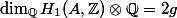\dim_\mathbb{Q} H_1(A, \mathbb{Z}) \otimes \mathbb{Q} = 2g