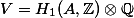 V = H_1(A, \mathbb{Z}) \otimes \mathbb{Q}
