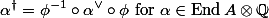  \alpha^\dag = \phi^{-1} \circ \alpha^\vee \circ \phi \text{ for } \alpha \in \operatorname{End} A \otimes \mathbb{Q} 