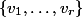 \{ v_1, \ldots, v_r \}