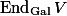 \operatorname{End}_\mathrm{Gal} V