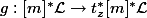 g : [m]^* \mathcal{L} \to t_z^* [m]^* \mathcal{L}