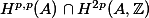  H^{p,p}(A) \cap H^{2p}(A, \mathbb{Z}) 