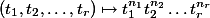  (t_1, t_2, \ldots, t_r) \mapsto t_1^{n_1} t_2^{n_2} \ldots t_r^{n_r} 