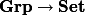 \textbf{Grp} \to \textbf{Set}